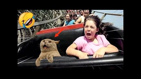 Best Funny Animal Videos Of 2023 - Funniest Cats And Dogs Videos