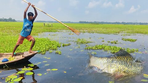 [ Best Fishing Skill ] Rural Expert Boy Hunting Fish By Kotch Amazing Daily Village Life Fishing🙁
