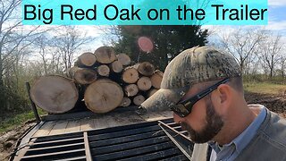 Big Red Oak on the Trailer