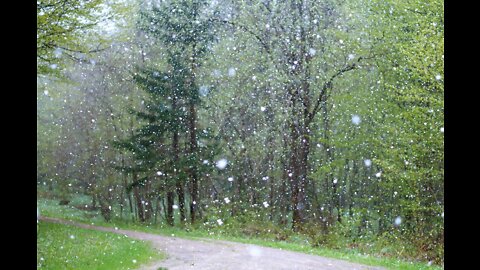 REFRESHING RAIN: Clear your thoughts as you soak in the sounds of a rainstorm from afar