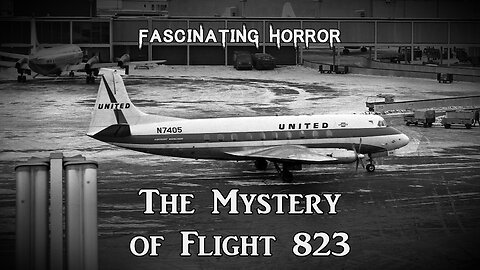 The Mystery of Flight 823 | Fascinating Horror