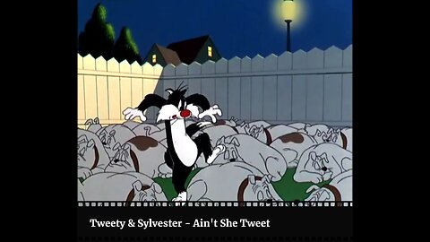 Ain't She Tweet starring Sylvester and Tweety