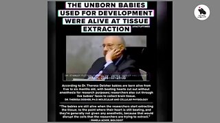 Aborted Fetal Tissue An Ingredient Of Vaccines