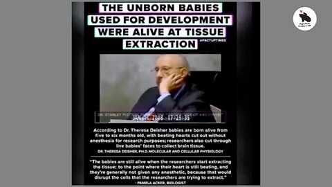 Aborted Fetal Tissue An Ingredient Of Vaccines