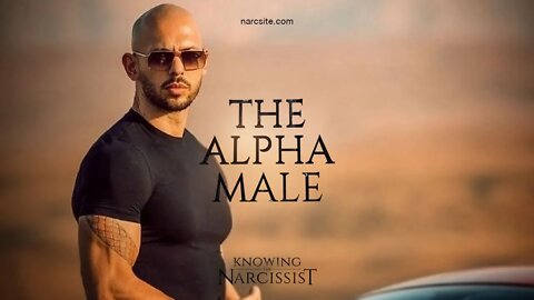 The Alpha Male