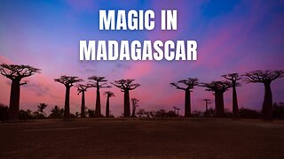 Magic in Madagascar #urban #music #adventure #travelmusic #madagascar #islandparadise #lemurs