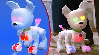 TOP 6 NEW BEST PERSONAL ROBOTS 2023