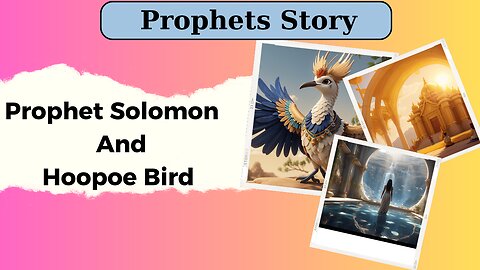 Prophet Solomon and the Hoopoe | A Tale of Wisdom and Discovery