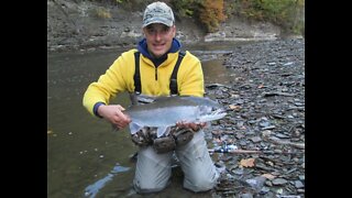 Lake Erie Steelhead Fishing - March