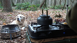 4x4 Camper Camping with my Dog