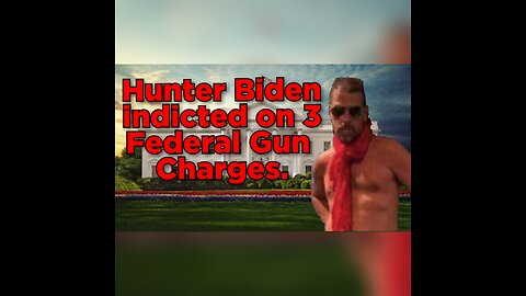 Hunter Biden Indicted on 3 gun charges.