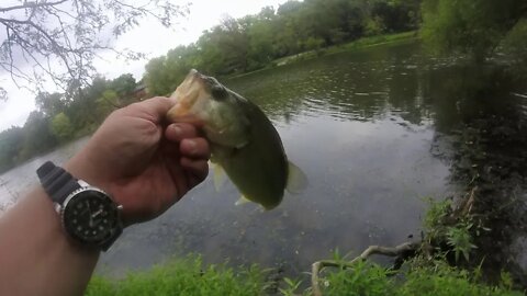 Lake Elkhorn fishing