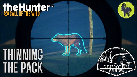 Thinning the Pack, Cuatro Colinas | theHunter: Call of the Wild (PS5 4K)