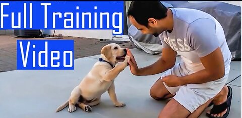 VIRAL-Dog traning/Animal funny video/#shorts/#viral/#😛dog animal traning CISF Center Commando force