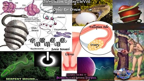 Symbols of Power 2.8: The Egg of Life, Universal Creation, Symbolic Anatomy - Lifting The Veil