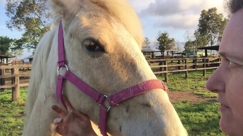 A selfie video of us - showing how approachable she is becoming. Scars from the rope halter :'(