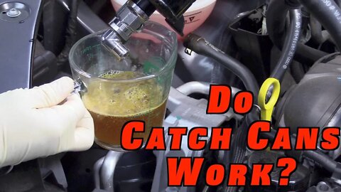 Do Catch Cans REALLY Work?