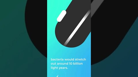 Fact about Bacteria 2