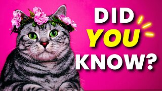 10 Awesome Cat Facts in 90 Seconds!
