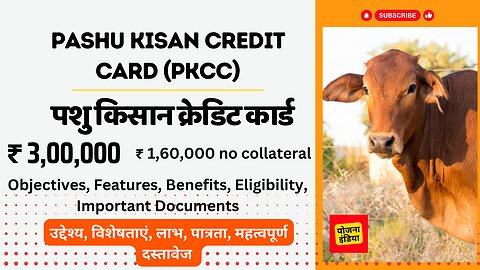Pashupalan Kisan Credit Card|पशु किसान क्रेडिट कार्ड Pashu Kishan Credit Card #pahsukishancreditcard