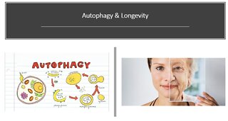 Autophagy & Longevity How to Live Longer
