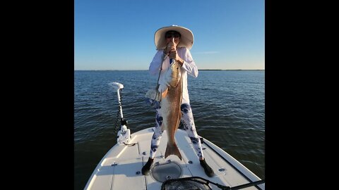 Drag Pulling Bull Red Action! #shorts #saltlife #fishing #louisiana #seatow