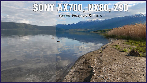 SONY AX700 NX80 Z90 - Cinematic LUTs - Color Grading (HLG) - Handheld Video Test [HDR]