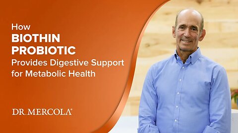 How BIOTHIN PROBIOTIC Provides Digestive Support for Metabolic Health