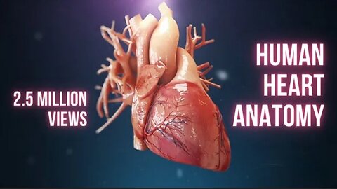 Human Heart Anatomy(3D Medical Animation)