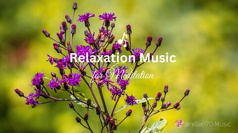 Relaxation Music for Meditation: "Ambient"