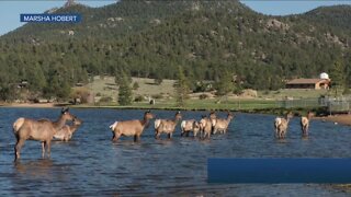 Lake Estes will drop by 12 feet for dam work