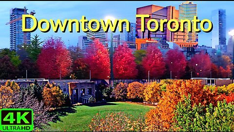 【4K】Downtown Toronto Canada at Autumn 🍁 🇨🇦