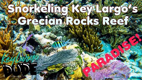 Grecian Rocks Reef 🪸 THE BEST of Florida Keys 🤿Snorkeling 🌴