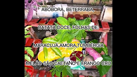 ALIMENTAÇÃO NATURAL