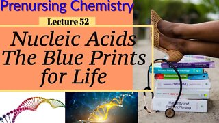 Nucleic Acids The Blue Print of Life Video Chemistry for Nursing (Lecture 52)