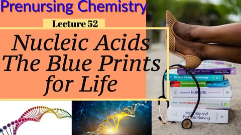 Nucleic Acids The Blue Print of Life Video Chemistry for Nursing (Lecture 52)