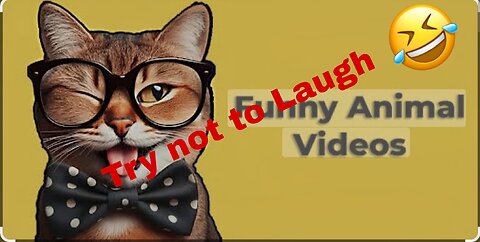 Funny_cat_videos