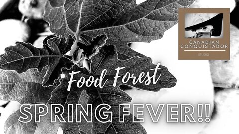 Backyard Gardening | Spring Fever #FoodForest #Arvada