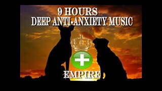 9 Hours of Deep Separation Anxiety For Dog Relaxation(tested)