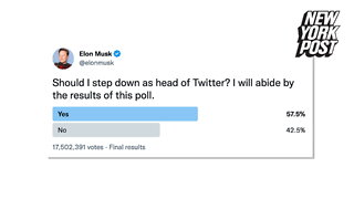 Twitter users vote for Elon Musk to resign as CEO