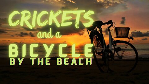 Crickets and a Bicycle by the Beach | 15 Minutes of Twilight | Ambient Sound | What Else Is There?