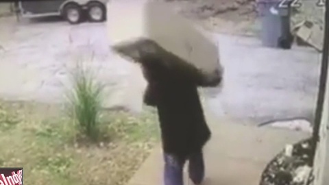 Thief caught on camera stealing Christmas tree from front porch
