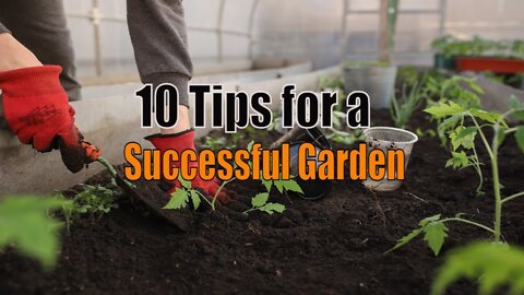 10 Tips for a Successful Garden