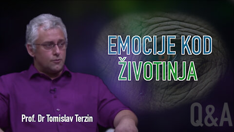 EMOCIJE KOD ŽIVOTINJA - Prof. Dr. Tomislav Terzin