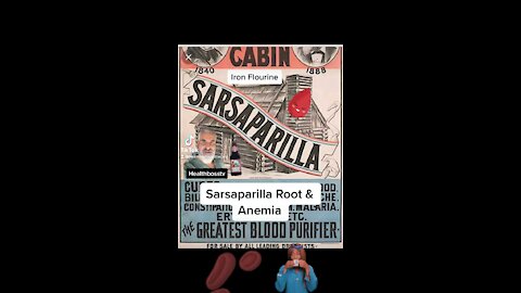 Sarsaparilla & Root Beer