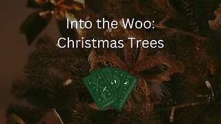 Into the Woo: Christmas Trees