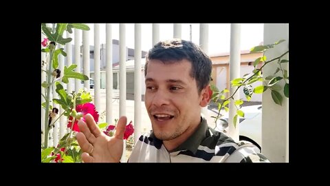 Olá amigos esse vídeo é do amigo Sandro do canal Sandro pomar horta e Jardim