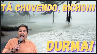 Eitaaa! Tá chovendo bichooo! Barulho de chuva Durma, descanse, medite, ore e estude!