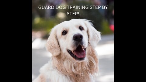 The Best Breed For a Good Guard Dog: Step by Step Guide