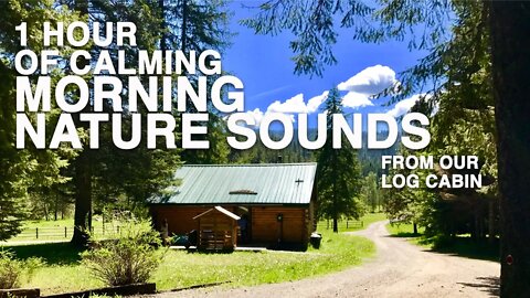 1 Hour of Calming Nature Sounds from our Log Cabin